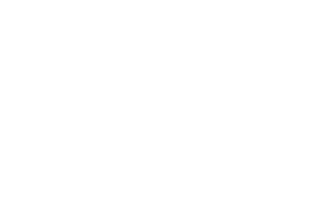 Amazon Ads Advanced Partner