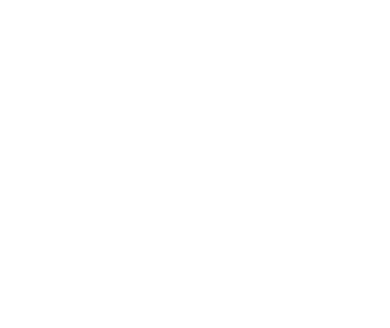 Google International Growth Program